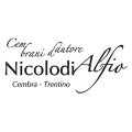 logo-nicolodi-picc-300